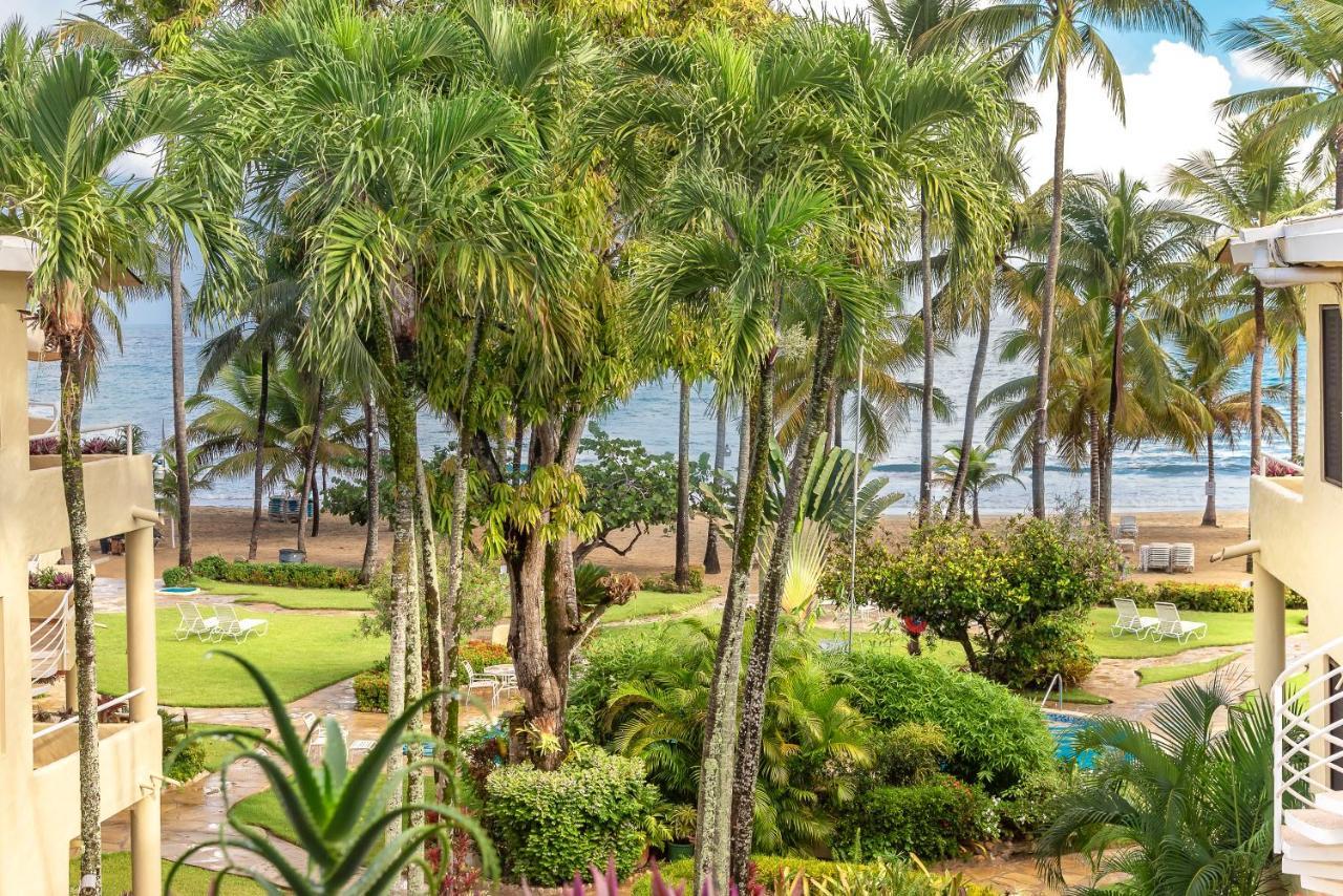 Cabarete Palm Beach Condos Ngoại thất bức ảnh