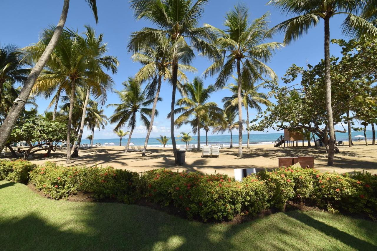 Cabarete Palm Beach Condos Ngoại thất bức ảnh